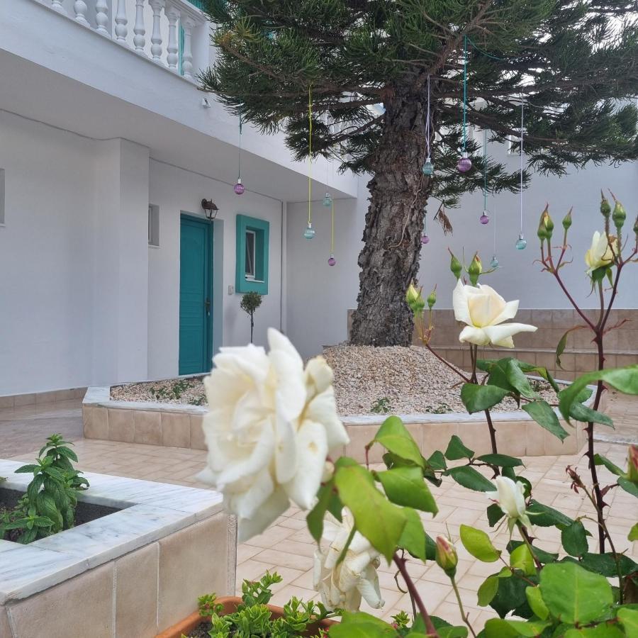 Arocaria - Faliraki Peaceful Apartments Esterno foto