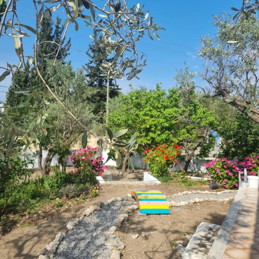 Arocaria - Faliraki Peaceful Apartments Esterno foto