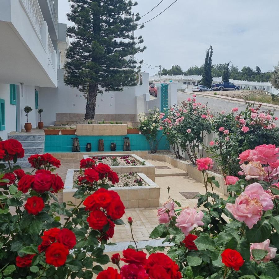 Arocaria - Faliraki Peaceful Apartments Esterno foto